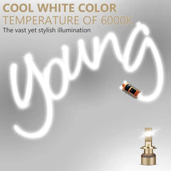 OSRAM LED H1 H4 H7 H8 H11 H16 HB3 HB4 HIR2 9005 9006 9012 Head Light YCZ 25W 6000K White LEDriving LED Car Lamps With Canbus, 2X