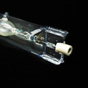 close-up of aquatic plant breeding gold halogen lamp bulb on black background